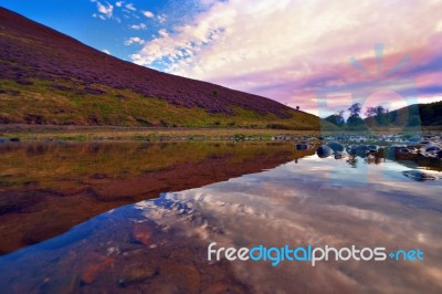 Colorful Landscape Scenery Of Pentland Hills Slope Covered By Vi… Stock Photo