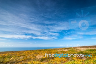 Colorful Meadow And Blue Sky Stock Photo
