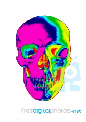 Colorful Skull Stock Image