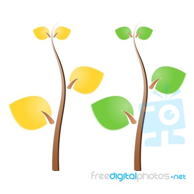 Colorful Tree Leaves Stock Image