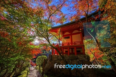 Colorful Tree Leaves Around Daigoji Temple,  Kyoto Stock Photo