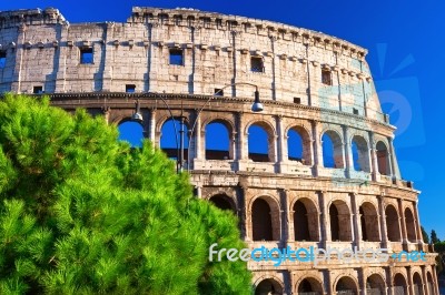 Colosseum In Rome Stock Photo