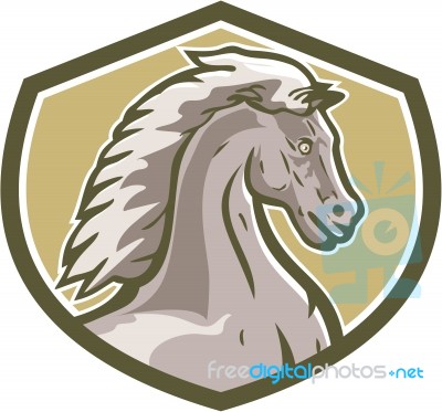 Colt Horse Head Side Shield Retro Stock Image