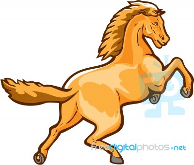 Colt Horse Prancing Rear Isolated Retro Stock Image