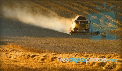 Combine Harvester Stock Photo