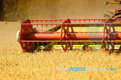 Combine Harvester Reaps The Corn Stock Photo