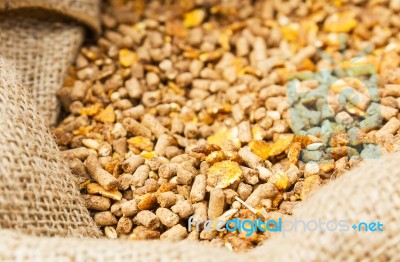 Compound Feed  In Sacks Fodder Stock Photo