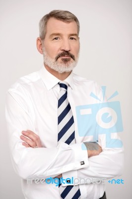 Confident Male Executive, Folded Arms Stock Photo