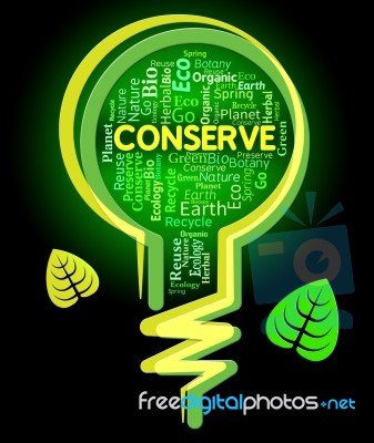 Conserve Lightbulb Shows Sustainable Conserving And Protecting Stock Image