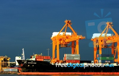 Container Cranes Loading Stock Photo