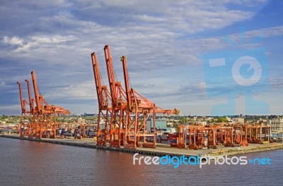 Container Terminal Stock Photo