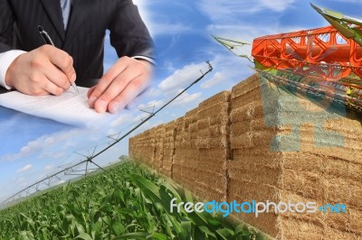 Contract With Commercial Farming Stock Photo