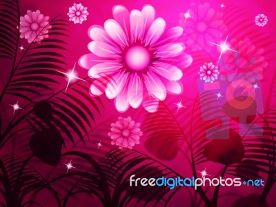 Copyspace Pink Represents Light Burst And Background Stock Image