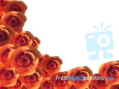 Copyspace Roses Represents Romance Bloom And Copy-space Stock Image