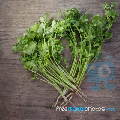 Coriander On Wooden Background,thai Tradition Herb And Vegetable… Stock Photo