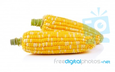 Corn Isolated On A White Background Stock Photo Corn Isolated On A White Background Stock Photo