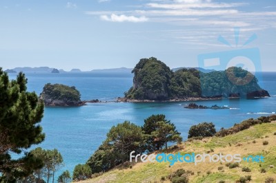 Coromandel Coastline Stock Photo