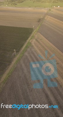 Cotton Field In The Countryside Stock Photo Cotton Field In The Countryside Stock Photo