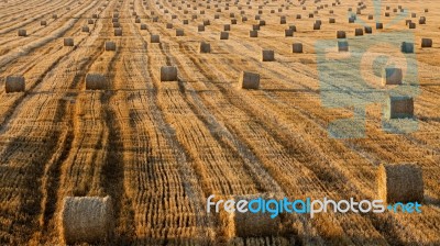 Countless Bales Stock Photo Countless Bales Stock Photo