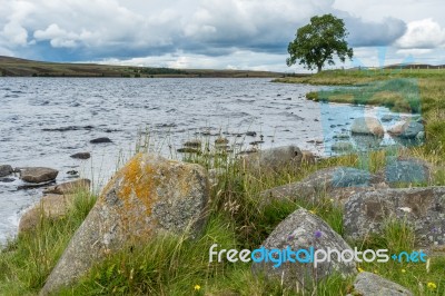 Countryside At Lochindorb Stock Photo