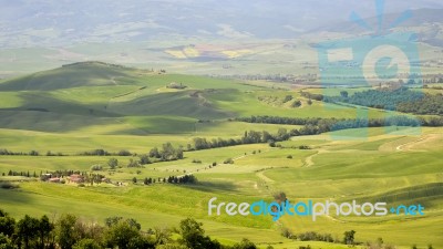 Countryside Of Val D'orcia Near Pienza Stock Photo