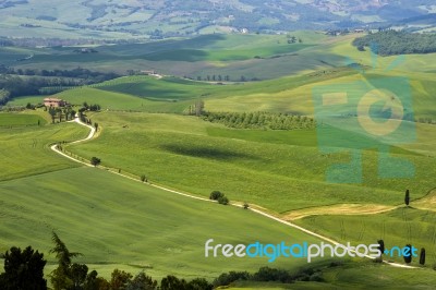 Countryside Of Val D'orcia Near Pienza Stock Photo