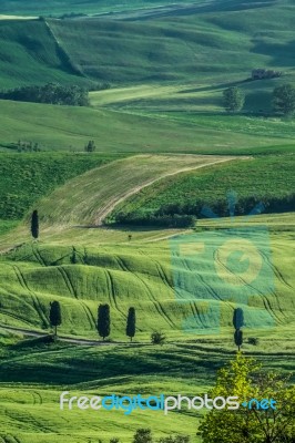 Countryside Of Val D'orcia Near Pienza In Tuscany Stock Photo