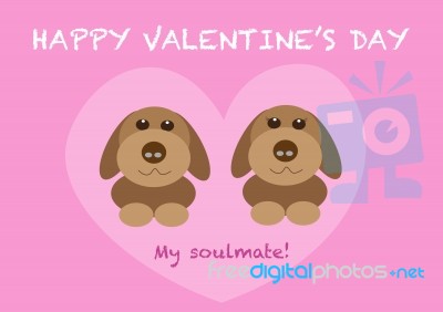 Couple Dogs Valentines Day Stock Image