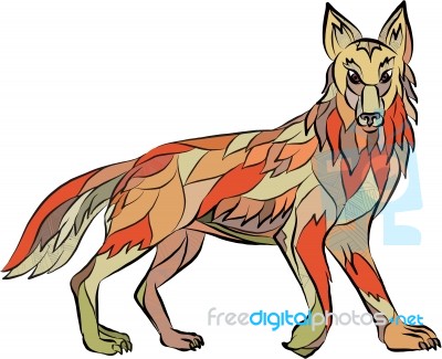 Coyote Side Isolated Drawing Stock Image