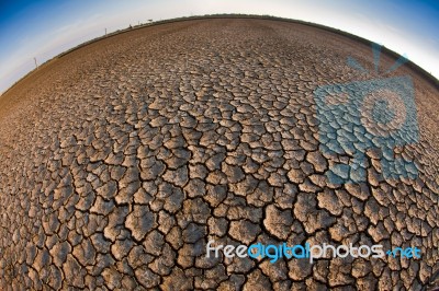 Cracked Earth Stock Photo