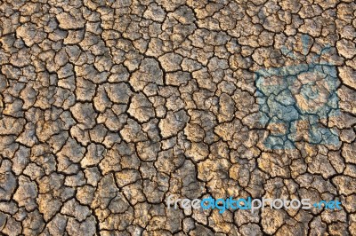 Cracked Earth Stock Photo