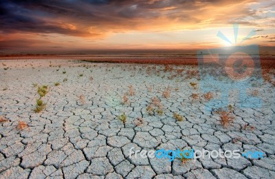 Cracked Soil Stock Photo