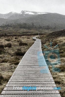 Cradle Mountain In Tasmania Stock Photo