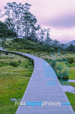 Cradle Mountain In Tasmania On A Cloudy Day Stock Photo