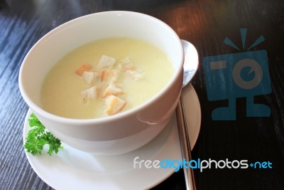 Cream Soup  Stock Photo