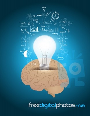 Creative Light Bulb With Brain Drawing Business Strategy Plan Co… Stock Image