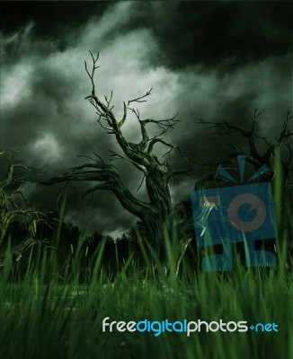 Creepy Forest,3d Illustration Stock Image Creepy Forest,3d Illustration Stock Image