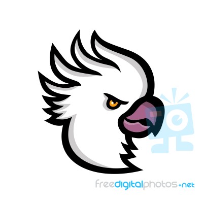 Crested Cockatoo Head Mascot Stock Image