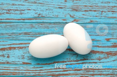 Crocodile Alligator Two Eggs Still Life Stock Photo