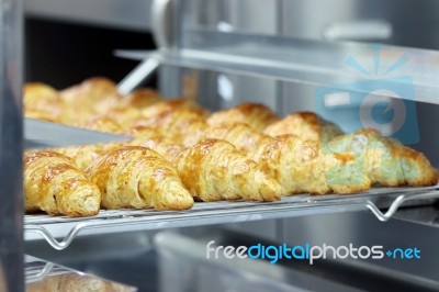 Croissants Out Of Oven Stock Photo