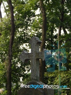 Crosses On Graves Cemetery And Fences Stock Photo Crosses On Graves Cemetery And Fences Stock Photo