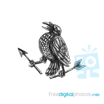 Crow Clutching Broken Arrow Tattoo Stock Image