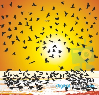 Crows In Winter At Sunset Stock Image
