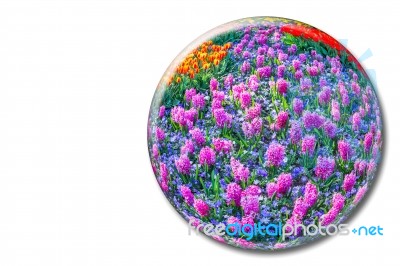 Crystal Sphere With Pink Hyacinths On White Background Stock Photo