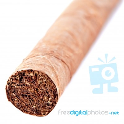 Cuban Cigar Stock Photo