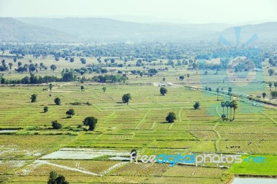 Cultivated Land Stock Photo