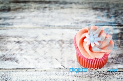 Cupcake Stock Photo