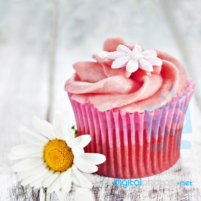 Cupcake Stock Photo