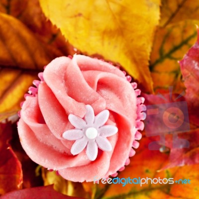 Cupcake Stock Photo