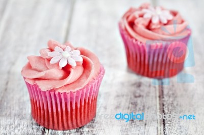 Cupcakes Stock Photo Cupcakes Stock Photo